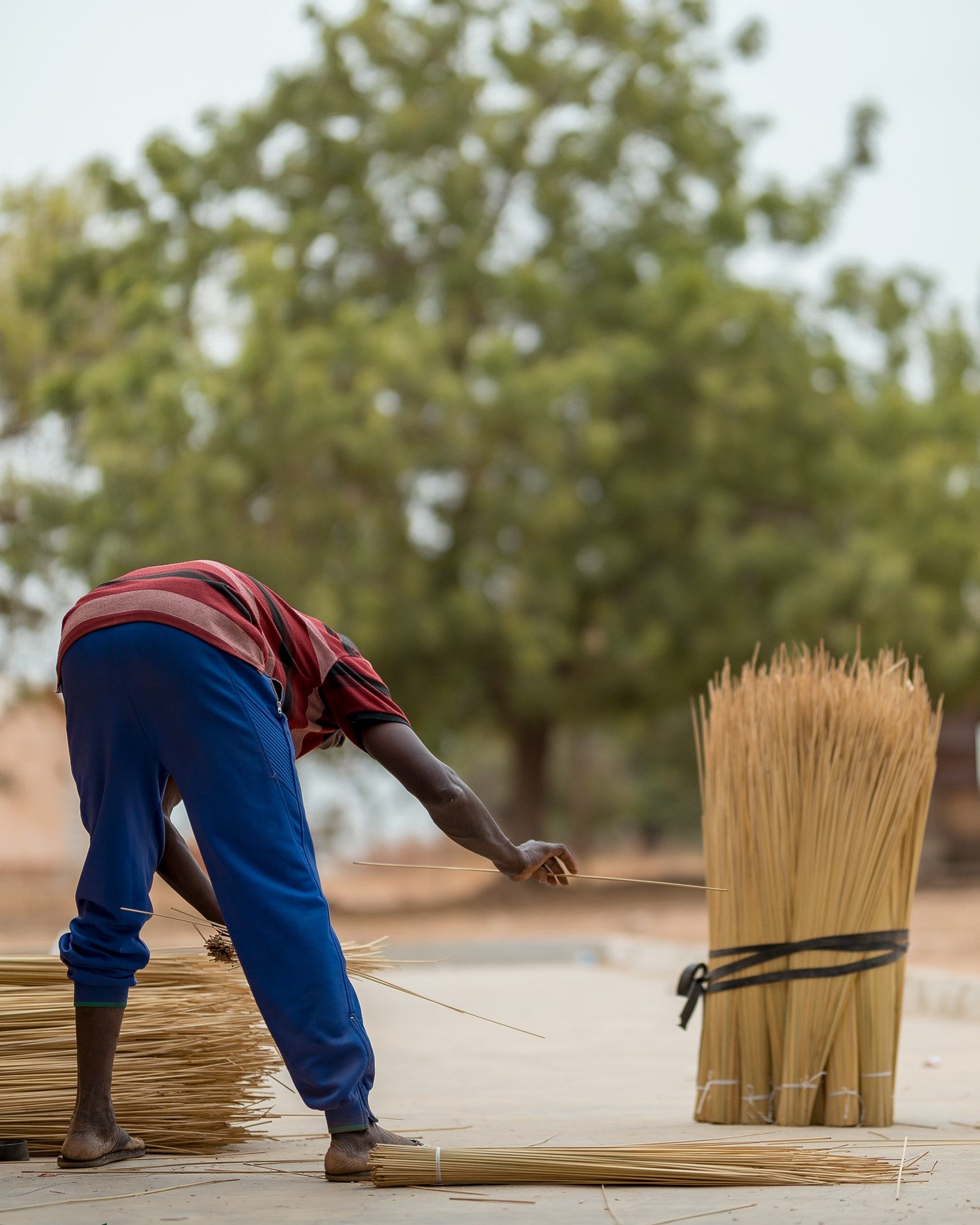 man separating stalks of straw